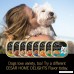 Cesar Home Inspired Wet Dog Food – 24 Trays - B00OLSBJ5M
