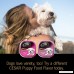 Cesar Puppy Wet Dog Food – 24 Trays - B0029NIW60