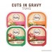 NUTRO Adult Cuts in Gravy Wet Dog Food Trays - B075898MXN