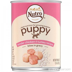 Nutro Puppy Wet Dog Food - B00TZSENZ6