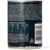 Purina Pro Plan FOCUS Large Breed Chunks in Gravy Adult Wet Dog Food - (12) 13 oz. Cans - B000HBDXQK