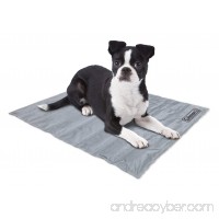 Coleman Comfort Cooling Gel Pet Pad Mat in Small 12x16 For Small Pets (Silver) - B01H2BD78G