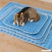 Dora Bridal Cooling Mat Pet Cool Pad Fast Self Cooling Dog Bed Cat Kennel Mat Non-Toxic Easy Clean - B07F3Z5STY