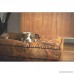 Jax and Bones Pearl Premium Cotton Blend Rectangular Pillow Dog Bed - B00QQTV7PQ