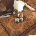 Jax and Bones Pearl Premium Cotton Blend Rectangular Pillow Dog Bed - B00QQTV7PQ