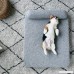 LDFN Dog Pillow Bed Four Seasons General Large Medium Small Size Dog Mattress Sofa Cushions - B07DPNW3TP