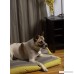 Tonal Stripe Memory Foam Topper Pet Pillow Bed Size - B00CPERQXI