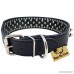 19-22 Black Faux Leather Spiked Studded Dog Collar 2 Wide 37 Spikes 60 Studs Pitbull Boxer - B0053AS5VS