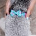 Azuza Dog Collar Cute with Bowtie Soft Comfy Size Adjustable Collar with Metal D-Ring 4 Patterns - B07D3896WT
