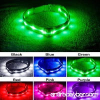 Blazin' Safety LED Dog Collar – USB Rechargeable with Water Resistant Flashing Light - B01F6O4XGG