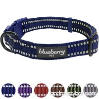 Blueberry Pet 3M Reflective Adjustable Classic Solid Color Dog Collar  6 Colors  Matching Leash Available Separately - B017CPPUGY