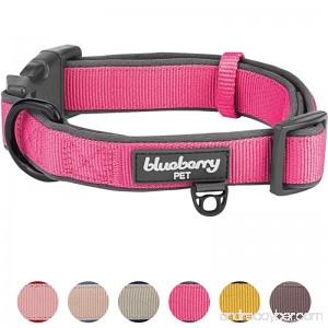 Blueberry Pet 6 Colors Soft & Comfortable Made Well Classic Neoprene Padded Dog Collar - B01MCW2G2V