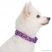 Blueberry Pet 6 Patterns Soft & Comfy Floral Prints Padded Dog Collar Matching Leash Harness Available Separately - B07585QK6Q