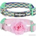Blueberry Pet Pack of 1 The Most Coveted Metallic Thread Dog Collar or Pack of 2 Mix Match Designer Dog Collars - B01M9C172L
