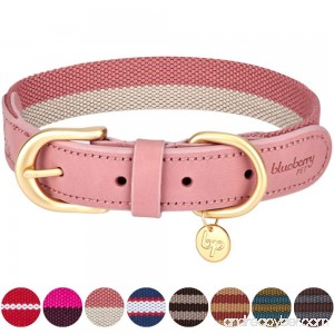Blueberry Pet Polyester Fabric and Soft Genuine Leather Webbing Dog Collar 8 Colors Matching Leash Available Separately - B06W2FVXS3
