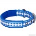 Blueberry Pet Soft & Comfortable Sports Design or Jacquard Design Padded Dog Collar - B01B17EDGC