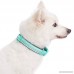 Blueberry Pet Soft & Comfy 3M Reflective Pastel Color Padded Dog Collar Matching Leash & Harness Available Separately - B076KLFSQW