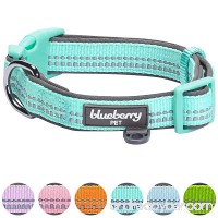 Blueberry Pet Soft & Comfy 3M Reflective Pastel Color Padded Dog Collar  Matching Leash & Harness Available Separately - B076KLFSQW