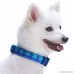 Blueberry Pet Soft & Comfy Scottish Plaid Pattern Dog Collar - B073W8FJQW