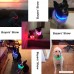 BSeen LED Dog Collar USB Rechargeable Glowing Pet Collar TPU Cuttable Dog Safety Lights for Small Medium Large Dogs - B078W5SYLR