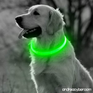 BSeen LED Dog Collar USB Rechargeable Glowing Pet Collar TPU Cuttable Dog Safety Lights for Small Medium Large Dogs - B078W5SYLR