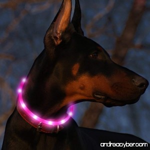 Bseen Led Dog Collar USB Rechargeable Glowing Pet Safety Collars Water Resistant Light up Cut to resize to fit 11-27 for Small Medium Large Dogs - B01KF1ODZQ