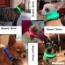 BSeen LED Dog Collar USB Rechargeable Glowing XS Adjustable Pet Collar Light Up Reflective Dog Safety Collar for Small Dogs& Cats - B078W7VRSV