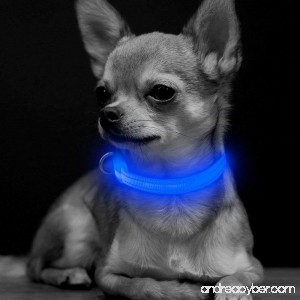 BSeen LED Dog Collar USB Rechargeable Glowing XS Adjustable Pet Collar Light Up Reflective Dog Safety Collar for Small Dogs& Cats - B078W7VRSV