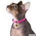 CollarDirect Leather Cat Collar Cat Safety Collar with Elastic Strap Kitten Collar for Cat with Bell Black Blue Red Orange Lime Green - B071CYSRL9