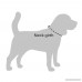 CollarDirect Nylon Dog Collar with Buckle Tribal Collar for Dogs Pattern Design Adjustable Puppy Collar Small Medium Large - B079V17G6T