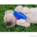 Colorado Flag Dog Bandana In 2 Sizes - B072MHV51W