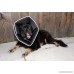 Comfy Cone The Original Soft Pet Recovery Collar with Removable Stays - B00AW5GTK8