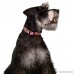 Country Brook Petz | Deluxe Dog Collar | Paisley Collection - B009I1MRIK