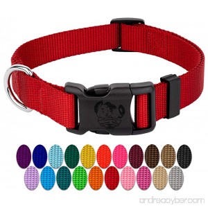 Country Brook Petz | Vibrant 21 Color Selection | Deluxe Nylon Dog Collar - B0091WNES8