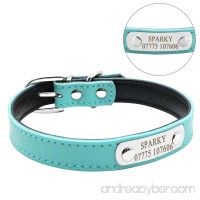 Didog Cute Leather Padded Custom Dog Collar with Engraved Nameplate ID Tag Fit Cats and Small Medium Dogs - B01N9IGO9D