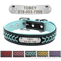 Didog Leather Custom Collar Braided Leather Engraved Dog Collars with Personalized Nameplate for Small Medium Large Dogs - B072X3M7ZH