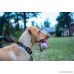 Dog Collar - Thin Blue Line (2 Styles Available) - B07956S3JB