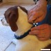 Don Sullivan Perfect Dog Command Collar with Extra Links and DVD Large - B00B89AZSE