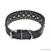 Downtown Pet Supply 2 Wide Premium Leather Studded Dog Collar by - B00OV9RLN0