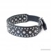 Downtown Pet Supply 2 Wide Premium Leather Studded Dog Collar by - B00OV9RLN0