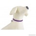 EXPAWLORER Adjustable Breakaway Sparkle Nylon Cat Collar with Bell for Pet Dog Puppy Kitten - B01FCSIM5Y
