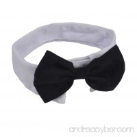 Formal Pets Bowtie  Dog Cat Pets Adjustable Bow Tie and Collar DCL01 - B00N3IIHJW