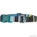 Friends Forever Dog Collar with Pattern designed by - B01M5836E0