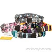 Friends Forever Dog Collar with Pattern designed by - B01M5836E0