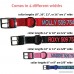 GoTags Custom Embroidered - Tough Nylon Dog Collar with Stainless Steel Metal Buckle. Personalized with Pet Name and Phone Number. - B0075XVPN6 id=ASIN