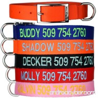GoTags Custom Embroidered - Tough Nylon Dog Collar with Stainless Steel Metal Buckle. Personalized with Pet Name and Phone Number. - B0075XVPN6