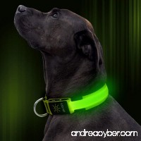 Illumifun LED Dog Collar USB Rechargeable Nylon Webbing Adjustable Glowing Pet Safety Collar Reflective Light Up Collars for Small Medium Large Dogs - B072Z9L5XS
