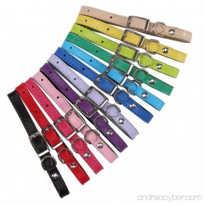 KOOLTAIL 12 Pcs Leather Puppy ID collars whelping Identification Collar for Dogs Cats 6 - 10 - B07D6HFLHR