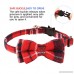 KUDES 2 Pack/Set Cat Collar Breakaway with Bell and Bow Tie for Kitty and Some Puppies Adjustable from 7.8-10.5 Inch - B07DSFWHR4