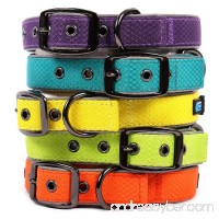 Max and Neo Glacier Reflective Neoprene Metal Buckle Dog Collar - We Donate a Collar to a Dog Rescue for Every Collar Sold - B073ZRPBMM